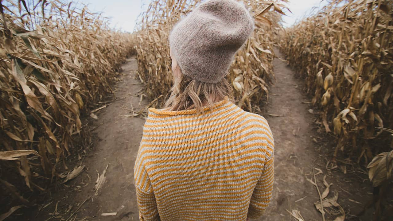 Navegando Cambios Vitales: Aceptar la Transformación