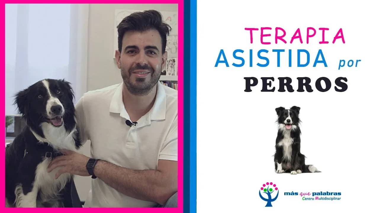 Terapia Asistida por Perros