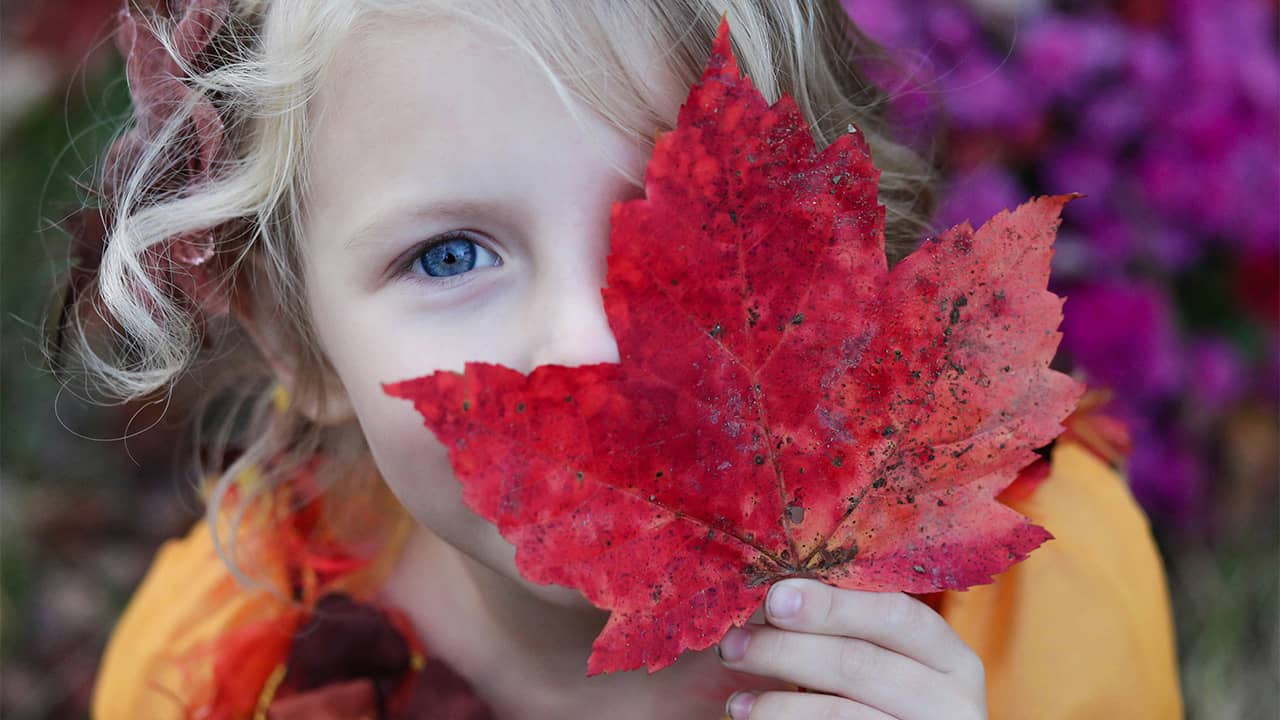 ¿Por qué es importante el aprendizaje de las estaciones durante la etapa escolar?